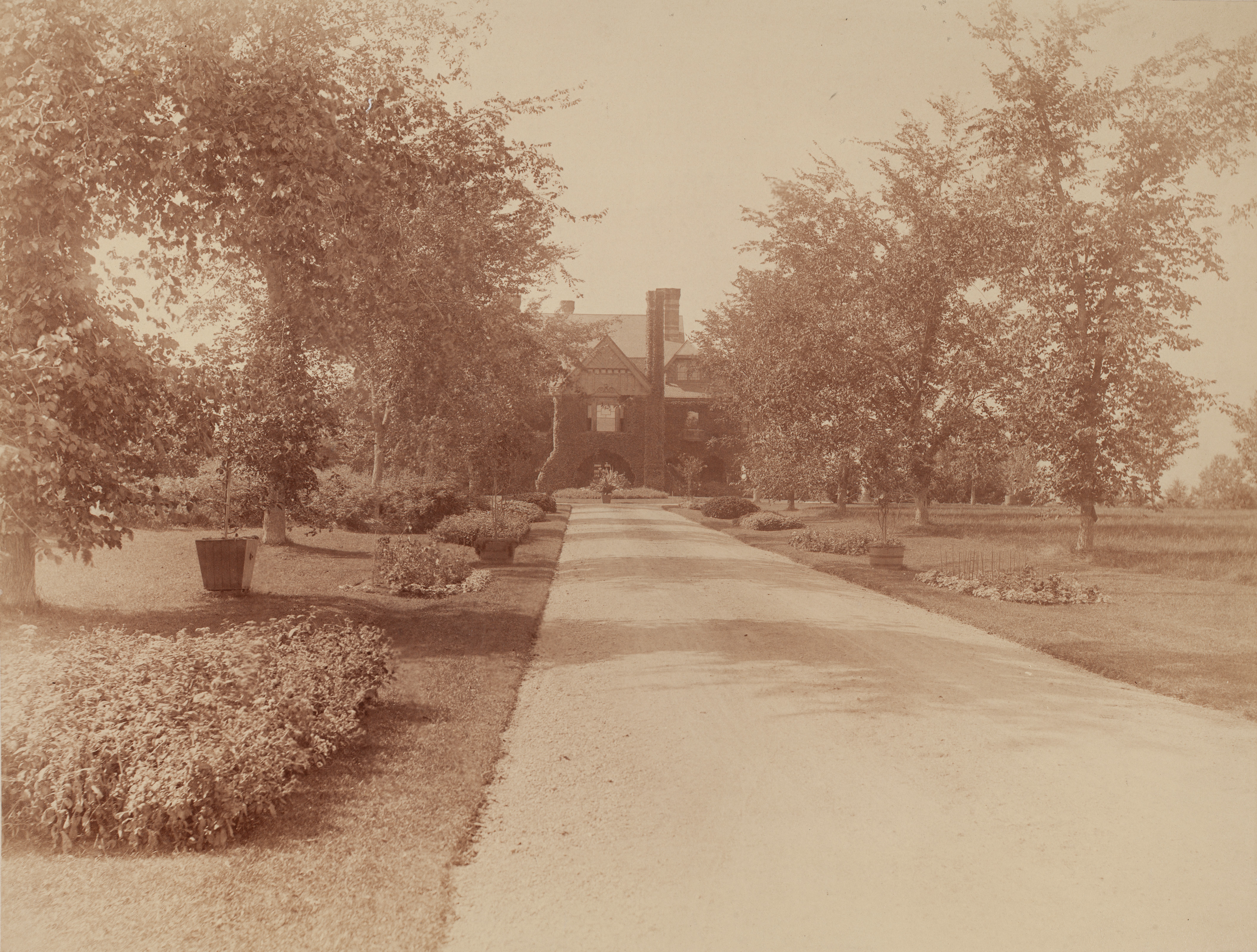 Black and White 1880s view of Eustis porte cochere looking up allee and garden beds 